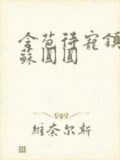 含苞待宠镇国公苏圆圆