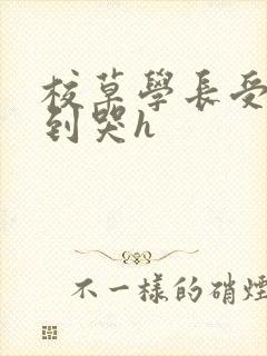 校草学长受被做到哭h