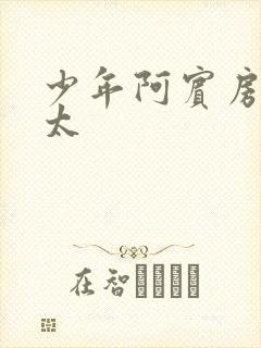 少年阿宾房东太太