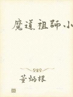 魔道祖师小说