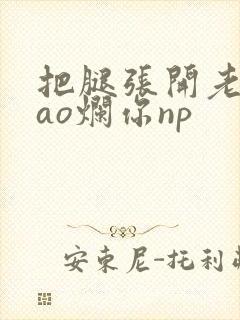 把腿张开老子cao烂你np