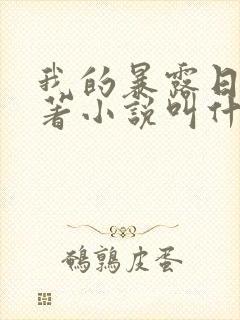 我的暴露日记原著小说叫什么