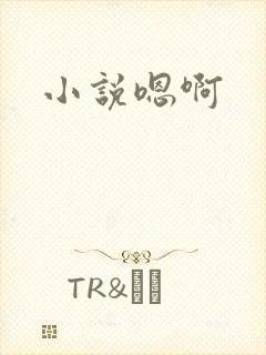 小说嗯啊