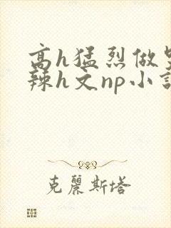 高h猛烈做哭高辣h文np小说