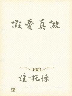 假爱真做