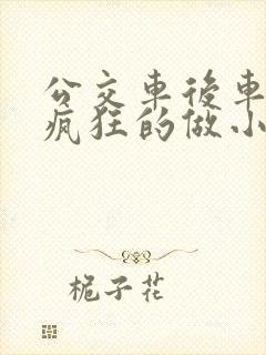 公交车后车座的疯狂的做小