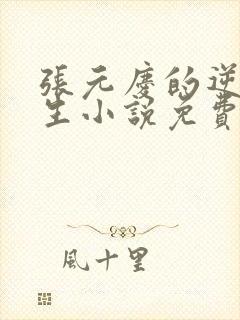 张元庆的逆袭人生小说免费阅读