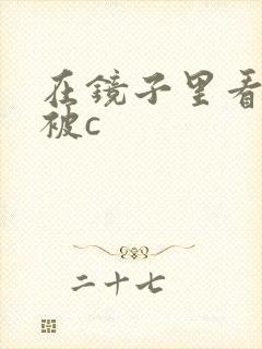 在镜子里看自己被c