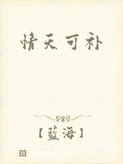 情天可补