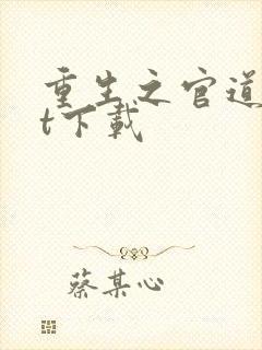 重生之官道txt下载