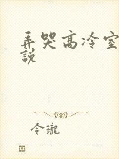 弄哭高冷室友小说