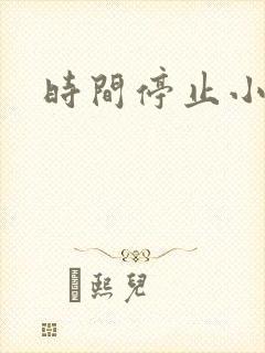 时间停止小说