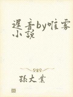 迟音by唯雾的小说