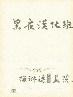 黑夜汉化组