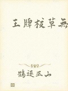 王牌校草无限爱