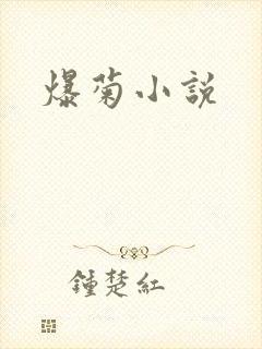 爆菊小说