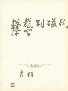 总裁别碰我 韩降雪