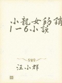 小龙女的销魂夜1一6小说