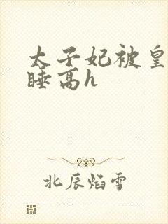 太子妃被皇上强睡高h