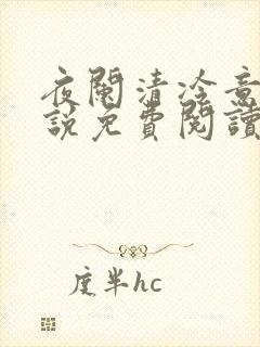 夜阑清冷意欢小说免费阅读
