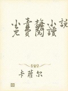 小青梅小说全文免费阅读