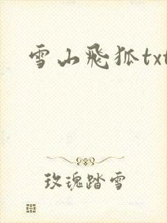 雪山飞狐txt