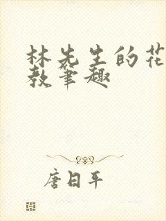 林先生的花式管教笔趣