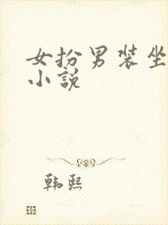 女扮男装坐江山小说