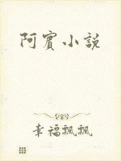 阿宾小说