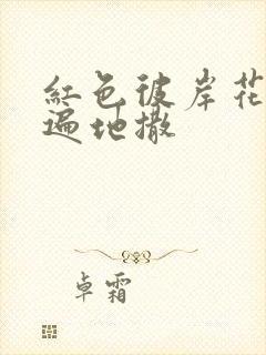 红色彼岸花花瓣遍地撒