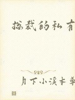 总裁的私有宝贝