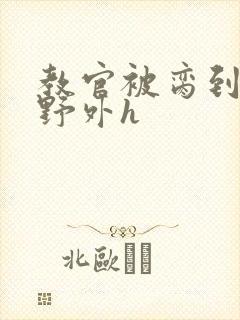 教官被脔到高潮野外h