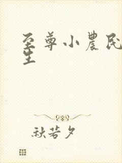 至尊小农民王木生