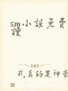 sm小说免费阅读