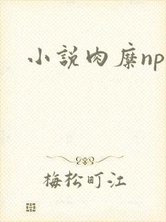 小说肉糜np