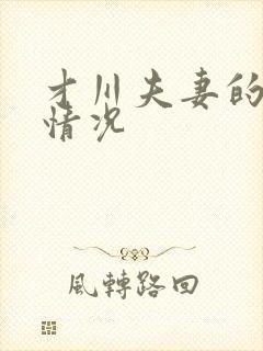 才川夫妻的恋爱情况