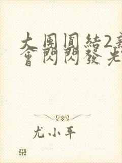 大团圆结2亲情会闪闪发光亲情会2