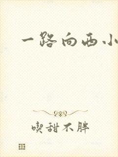 一路向西小说