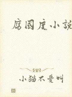 腐国度小说