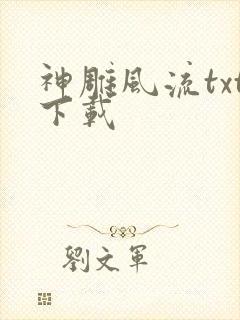 神雕风流txt下载