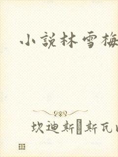 小说林雪梅