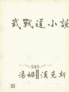 武战道小说