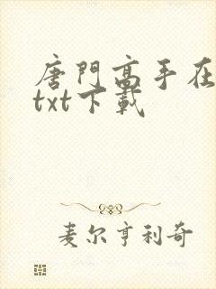 唐门高手在异世txt下载