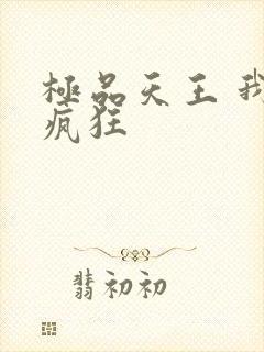 极品天王 我本疯狂
