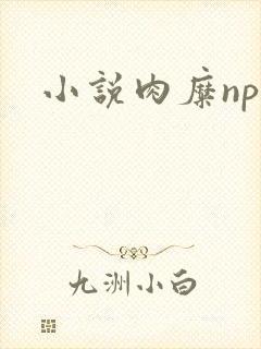 小说肉糜np