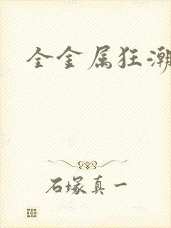 全金属狂潮小说