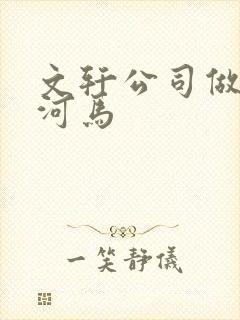 文轩公司做扩张河马