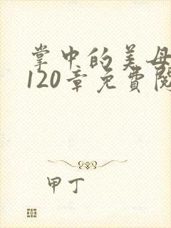 掌中的美母版主120章免费阅读