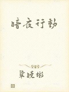 暗夜行动