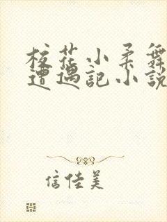 校花小柔舞蹈室遭遇记小说